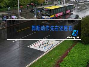 舞蹈动作先左还是右