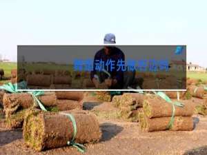 舞蹈动作先做右边吗