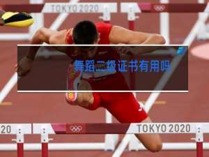 舞蹈二级证书有用吗