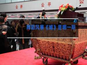 舞蹈风暴《媚》是哪一期