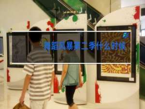 舞蹈风暴第二季什么时候开始