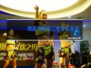 舞蹈风暴第二季亚军是谁