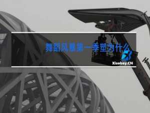 舞蹈风暴第一季塑为什么剪了
