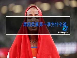 舞蹈风暴第一季为什么被删了