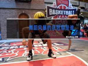 舞蹈风暴的总冠军是谁