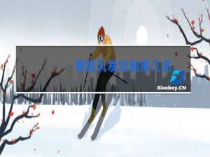 舞蹈风暴刘伽第几名