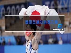 舞蹈风暴刘迦第几季