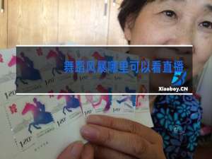 舞蹈风暴哪里可以看直播