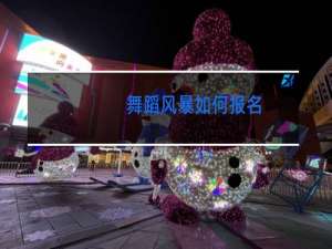 舞蹈风暴如何报名