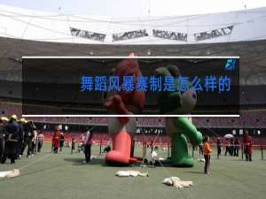 舞蹈风暴赛制是怎么样的