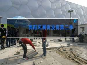 舞蹈风暴有没有第二季