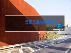 舞蹈风暴总冠军是谁