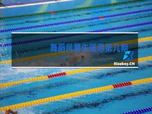 舞蹈风暴朱瑾惠第几期