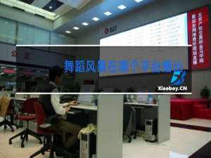 舞蹈风暴在哪个平台播出