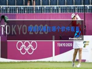 舞蹈风暴在哪个软件观看