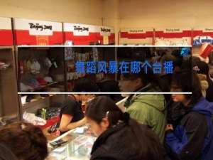 舞蹈风暴在哪个台播