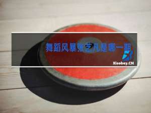 舞蹈风暴张艺凡是哪一期第几集