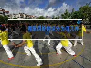 舞蹈风格特点分为哪几种