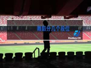 舞蹈分几个段位