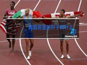 舞蹈房里的杆子叫什么