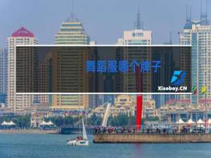 舞蹈服哪个牌子