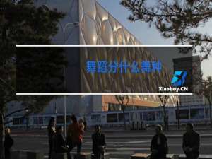 舞蹈分什么舞种