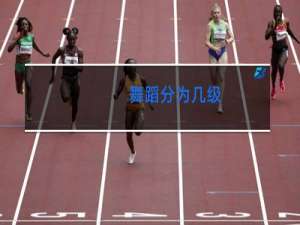 舞蹈分为几级