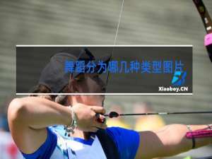 舞蹈分为哪几种类型图片