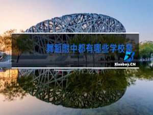 舞蹈附中都有哪些学校是公办的