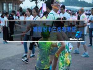 舞蹈附中三类有哪些