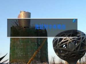 舞蹈附中有哪些