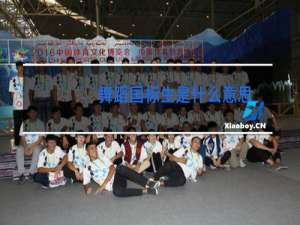 舞蹈国标生是什么意思