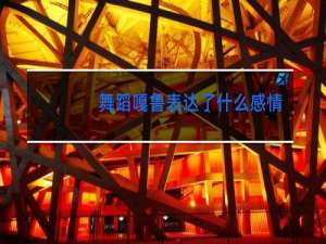 舞蹈嘎鲁表达了什么感情