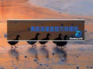 舞蹈高难度技巧有哪些