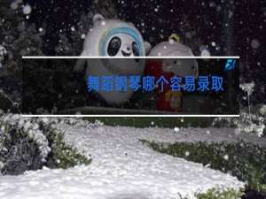 舞蹈钢琴哪个容易录取