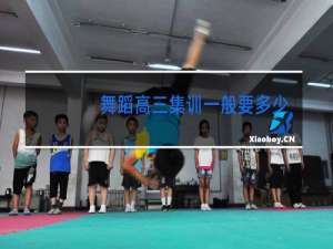 舞蹈高三集训一般要多少钱