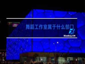 舞蹈工作室属于什么部门监管