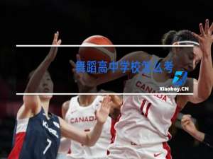 舞蹈高中学校怎么考
