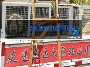 舞蹈活动过程如何记录