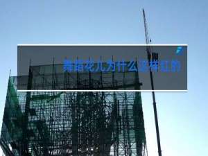 舞蹈花儿为什么这样红的背景视频