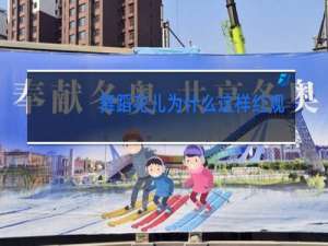 舞蹈花儿为什么这样红论文
