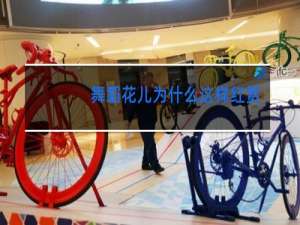 舞蹈花儿为什么这样红北京舞蹈学院群舞