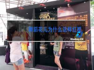 舞蹈花儿为什么这样红视屏