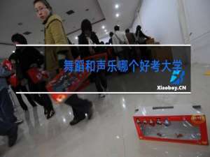 舞蹈和声乐哪个好考大学