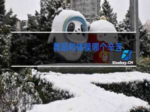 舞蹈和体操哪个辛苦