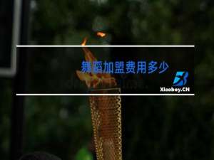 舞蹈加盟费用多少