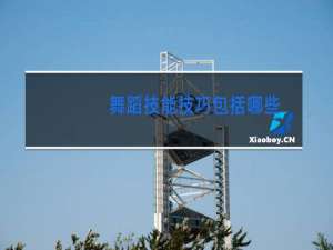 舞蹈技能技巧包括哪些