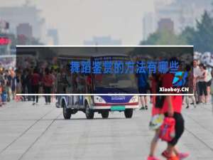 舞蹈鉴赏的方法有哪些