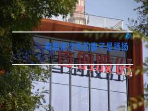 舞蹈家沈伟的妻子是扬扬吗