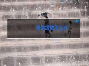 舞蹈级数怎么分